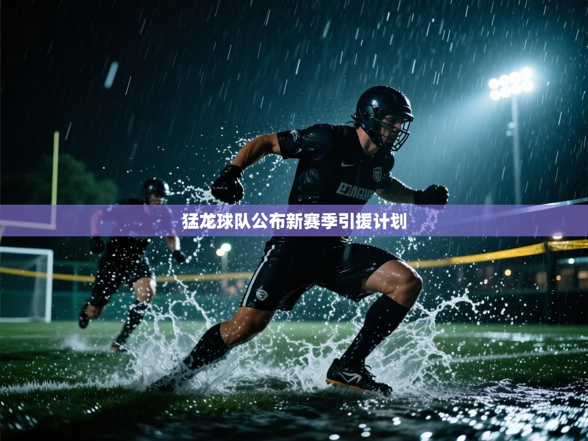 -猛龙球队公布新赛季引援计划 第1张