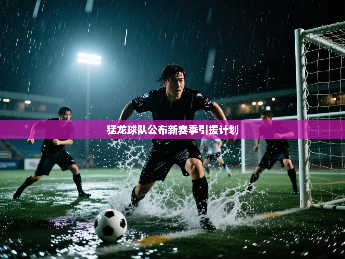 -猛龙球队公布新赛季引援计划 第3张