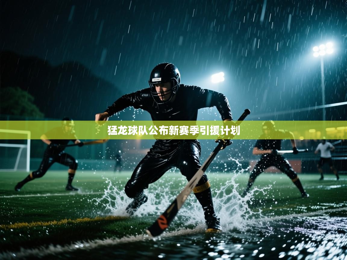 -猛龙球队公布新赛季引援计划 第2张