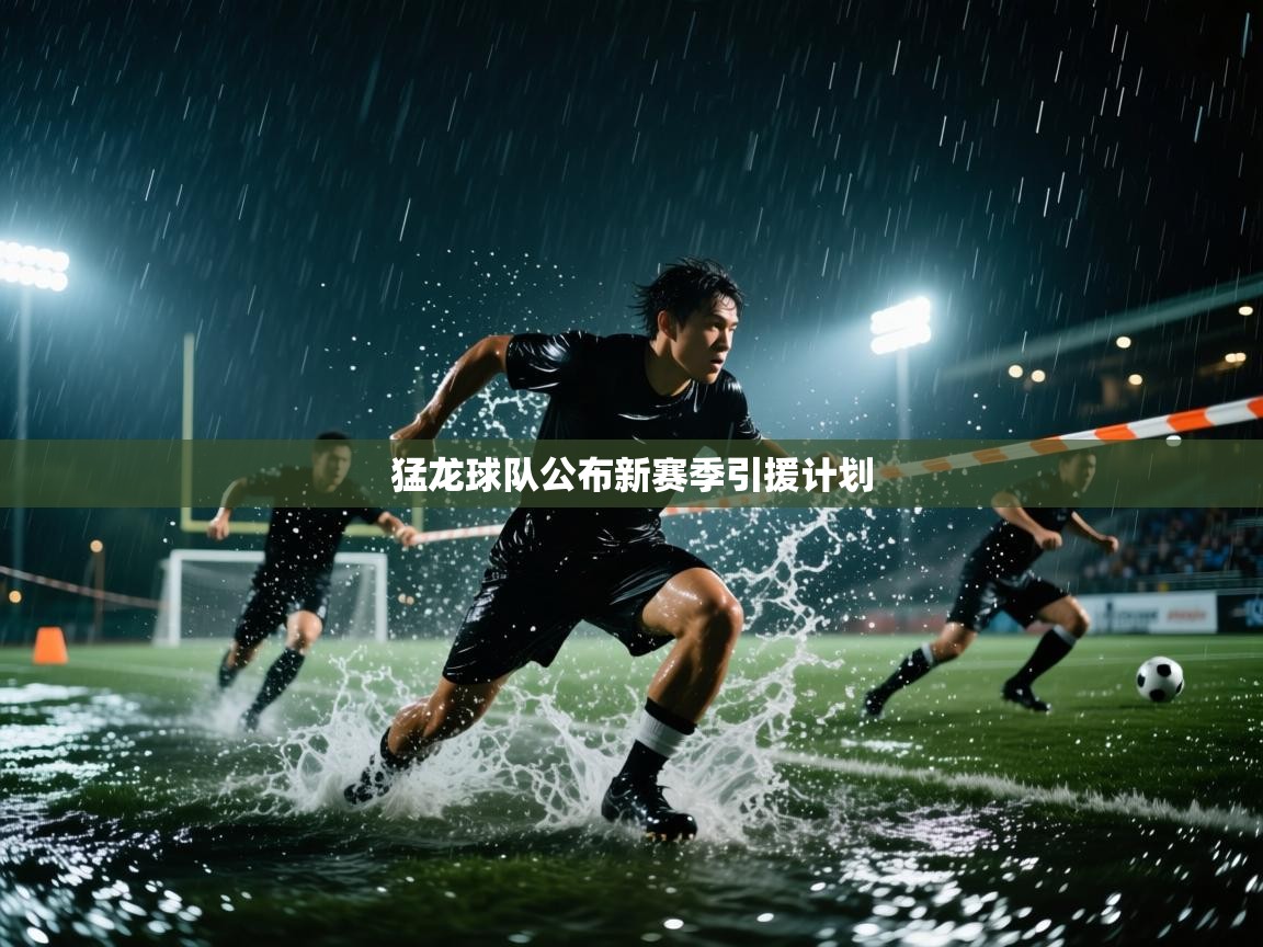 -猛龙球队公布新赛季引援计划 第4张
