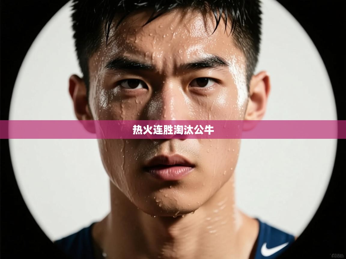 欢娱游戏平台-热火连胜淘汰公牛 第1张