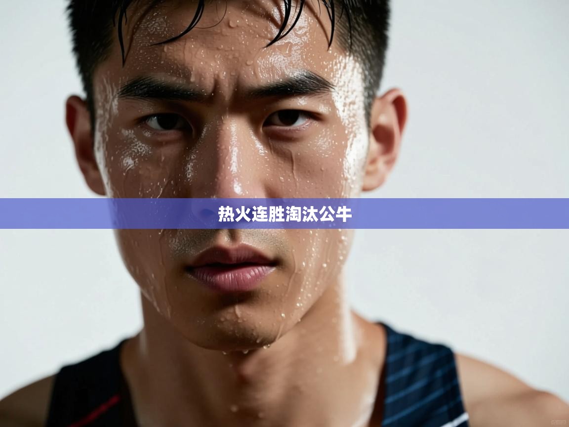 欢娱游戏平台-热火连胜淘汰公牛 第2张