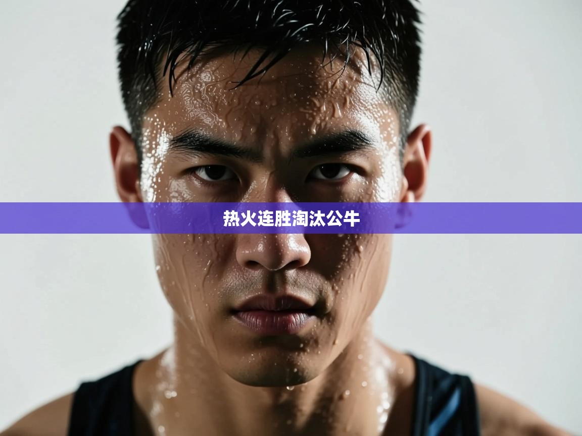 欢娱游戏平台-热火连胜淘汰公牛 第3张