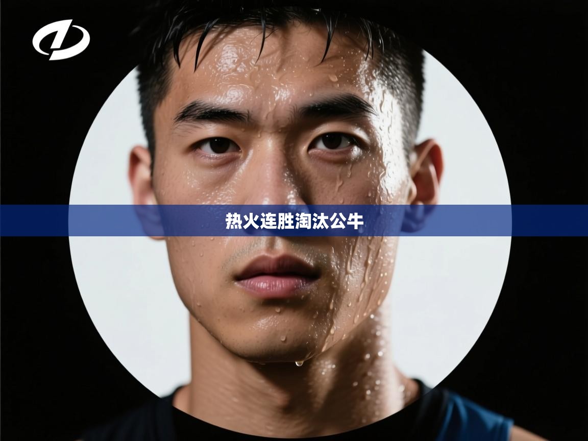 欢娱游戏平台-热火连胜淘汰公牛 第4张