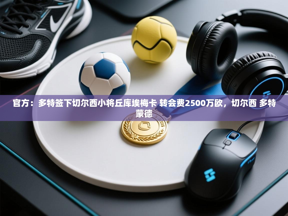 爱游戏娱乐体育官方入口-官方：多特签下切尔西小将丘库埃梅卡 转会费2500万欧，切尔西 多特蒙德  第2张