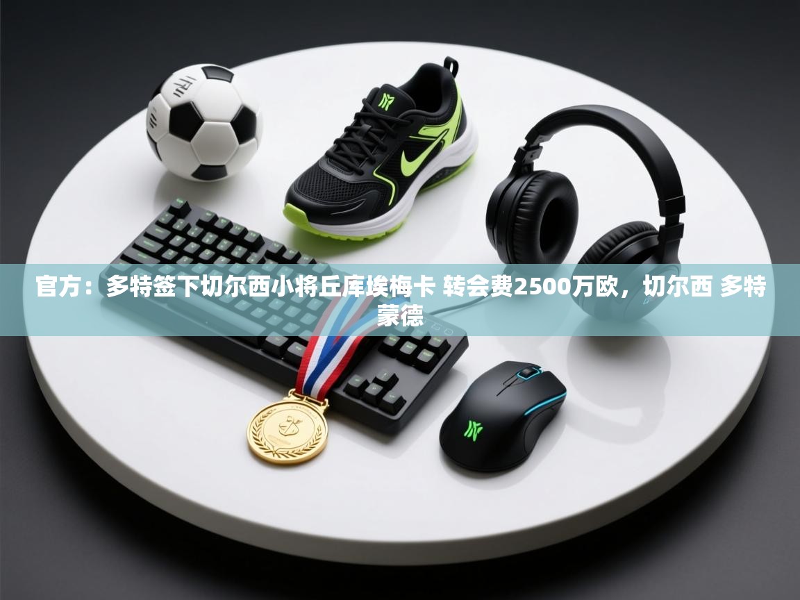 爱游戏娱乐体育官方入口-官方：多特签下切尔西小将丘库埃梅卡 转会费2500万欧，切尔西 多特蒙德  第4张