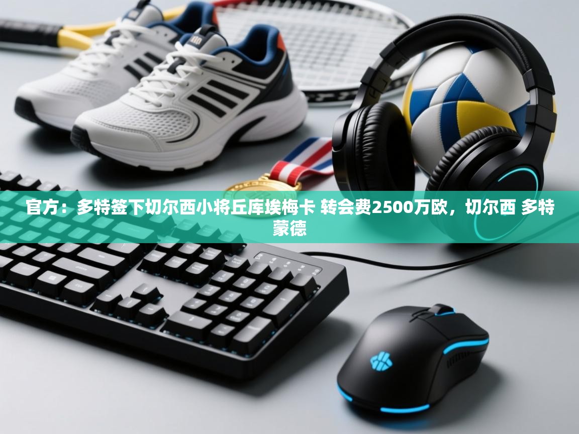 爱游戏娱乐体育官方入口-官方：多特签下切尔西小将丘库埃梅卡 转会费2500万欧，切尔西 多特蒙德  第3张