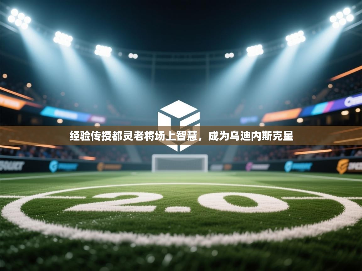 爱游戏娱乐网址-经验传授都灵老将场上智慧，成为乌迪内斯克星  第1张