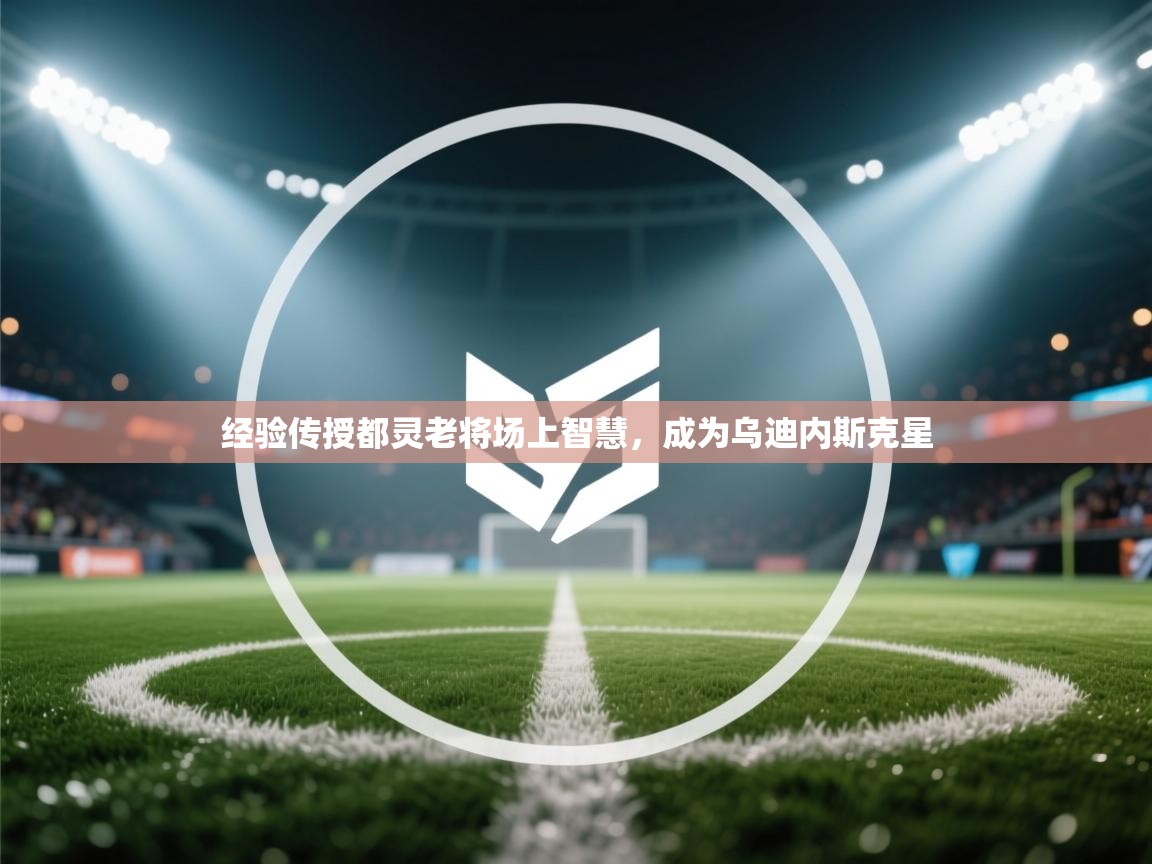 爱游戏娱乐网址-经验传授都灵老将场上智慧，成为乌迪内斯克星  第2张