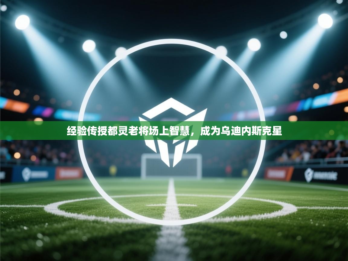 爱游戏娱乐网址-经验传授都灵老将场上智慧，成为乌迪内斯克星  第4张