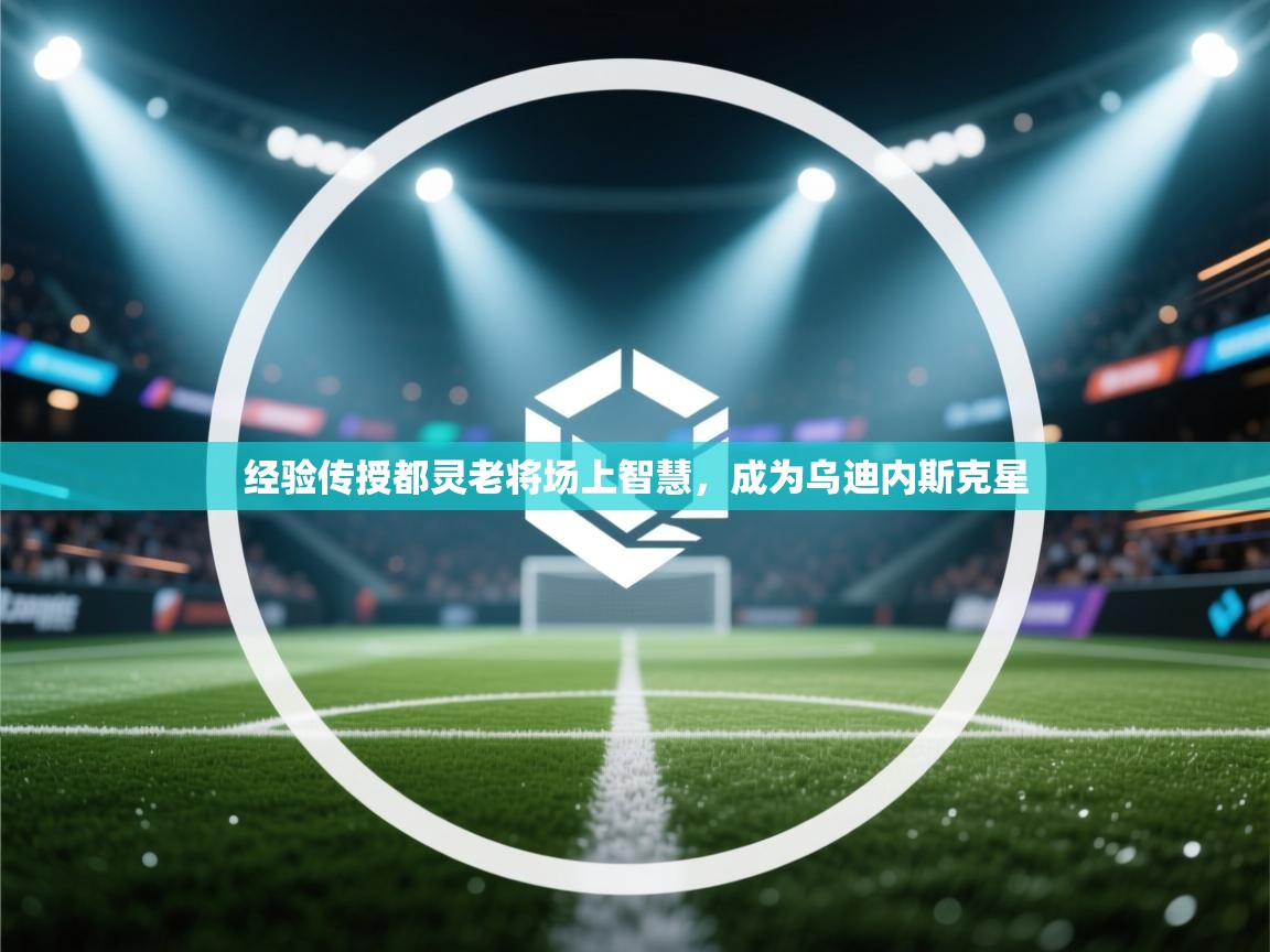 爱游戏娱乐网址-经验传授都灵老将场上智慧，成为乌迪内斯克星  第3张