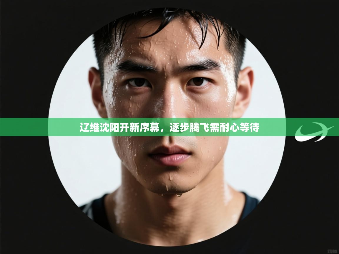 爱游戏体育娱乐赞助罗马-辽维沈阳开新序幕，逐步腾飞需耐心等待