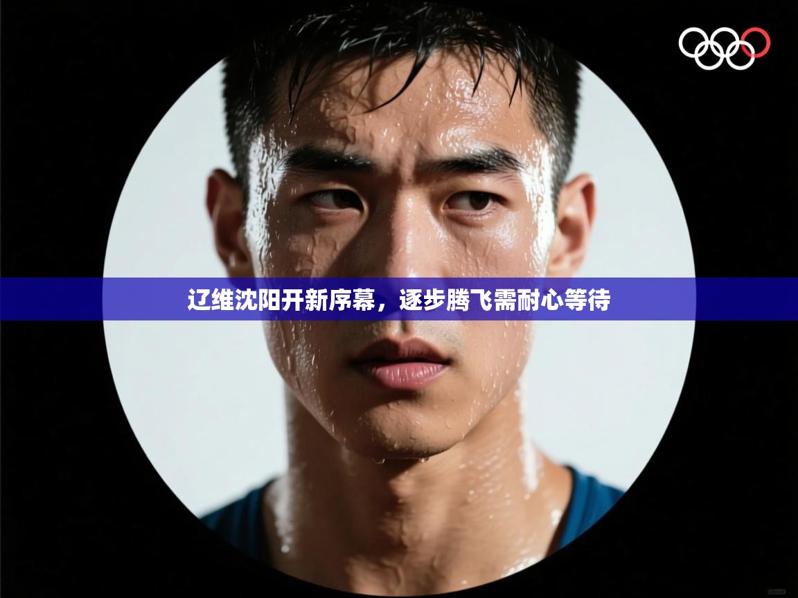 爱游戏体育娱乐赞助罗马-辽维沈阳开新序幕，逐步腾飞需耐心等待  第2张