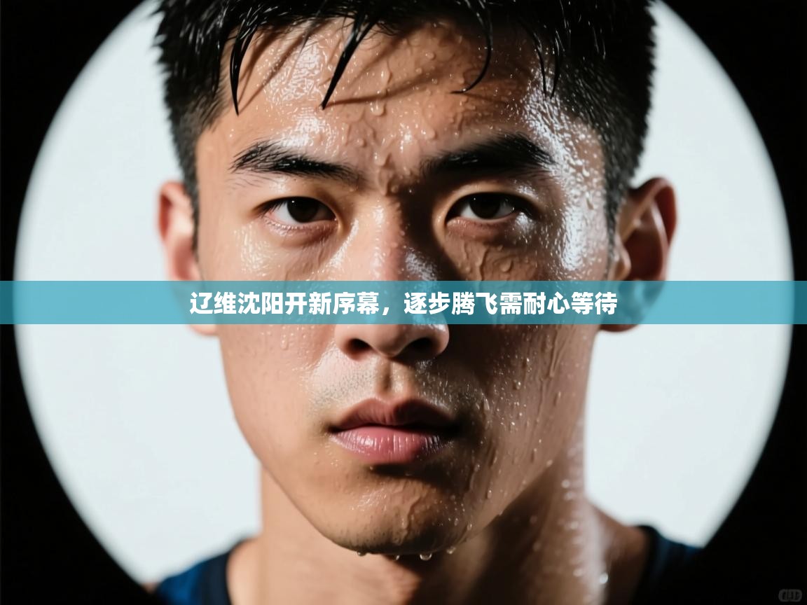 爱游戏体育娱乐赞助罗马-辽维沈阳开新序幕，逐步腾飞需耐心等待  第4张