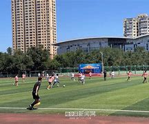 乐动体育登陆-哈尔滨冰城队遇困难，全队齐心协力应对难关的简单介绍